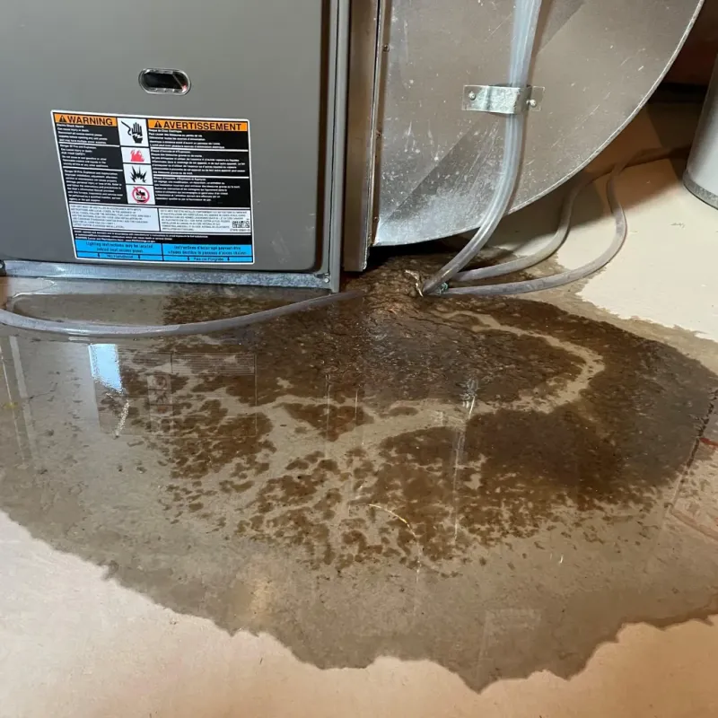 Appliance Leak Cleanup in Sacramento, CA